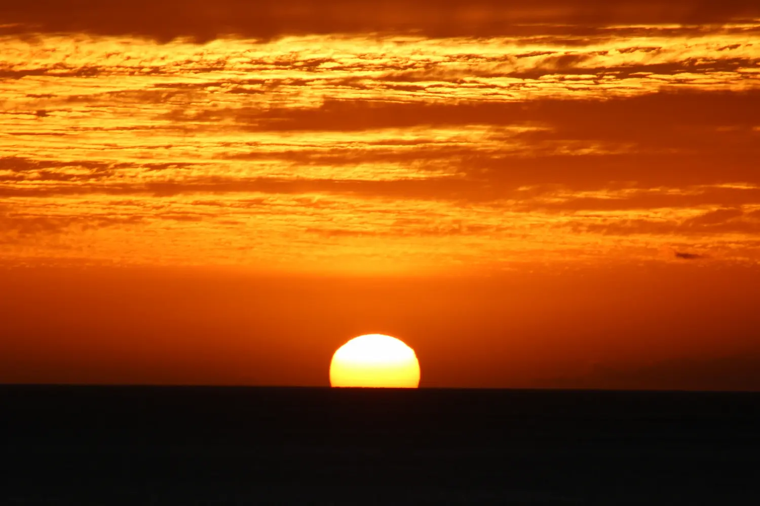 Silhouetted photo during sundown